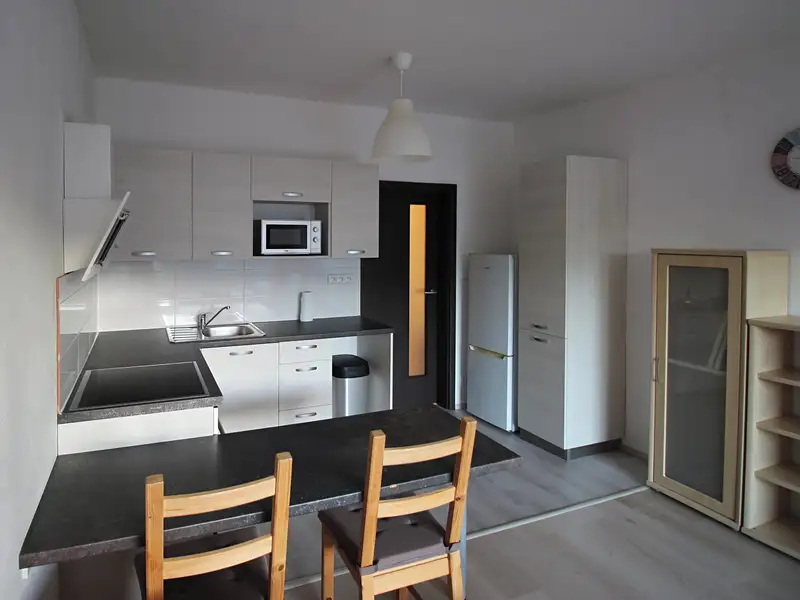Pronájem bytu 1+kk 39 m²